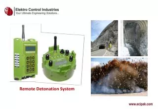 Remote Detonation System