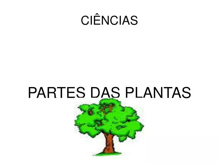 partes das plantas