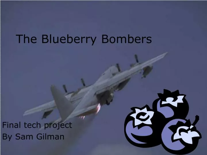the blueberry bombers