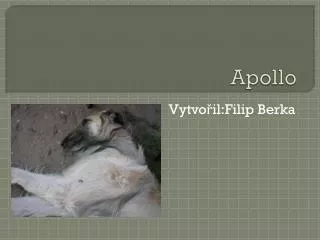 apollo