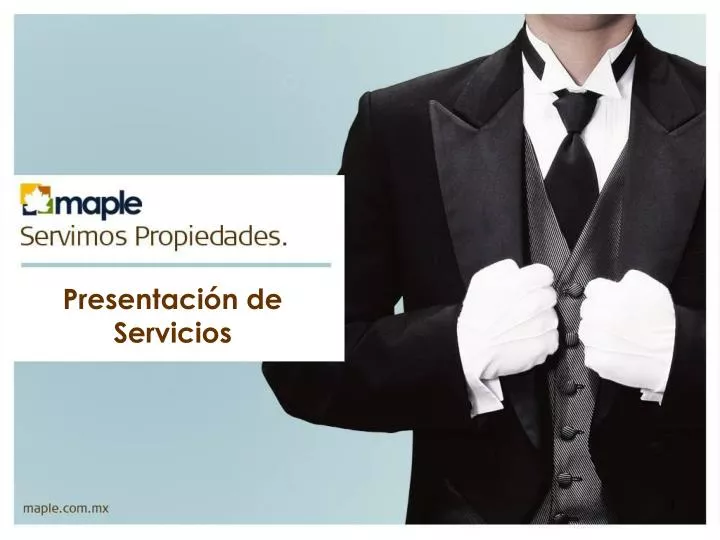 presentaci n de servicios