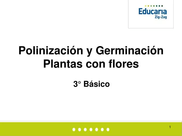 polinizaci n y germinaci n plantas con flores