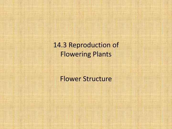 14 3 reproduction of flowering plants