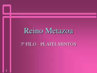 reino metazoa