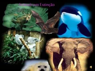 animais em extin o