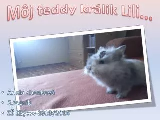 m j t eddy kr lik lili