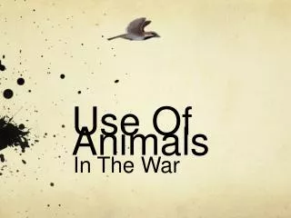 Use Of Animals