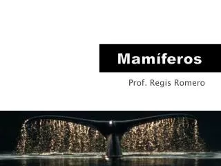 prof regis romero
