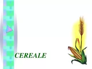 cereale