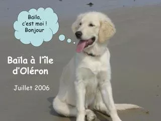 ba la l le d ol ron