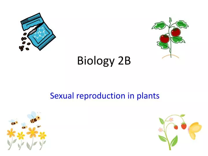 biology 2b