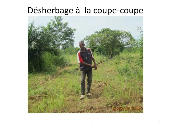 d sherbage la coupe coupe
