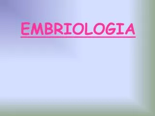 embriologia