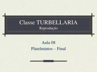 classe turbellaria reprodu o