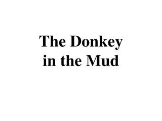 The Donkey in the Mud