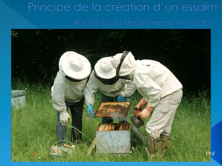 principe de la cr ation d un essaim rucher ecole moulin papon 14 mai 2011