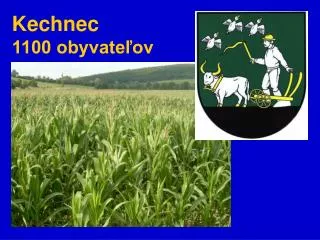 kechnec 1100 obyvate ov