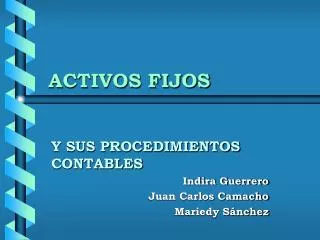 activos fijos