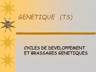 genetique ts