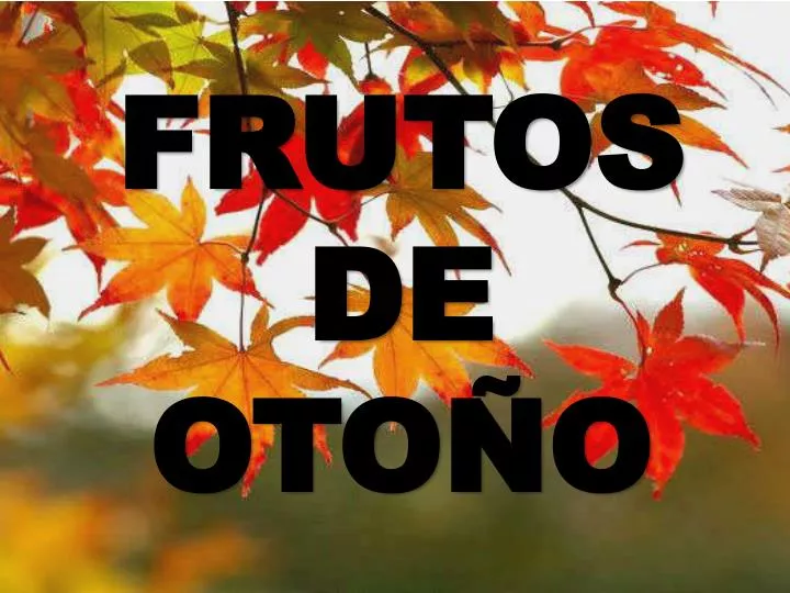 frutos de oto o