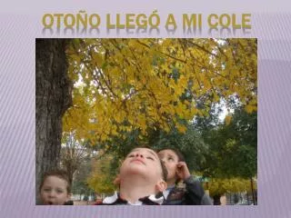 oto o lleg a mi cole