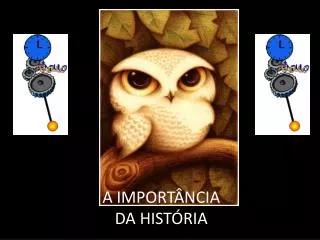 a import ncia da hist ria