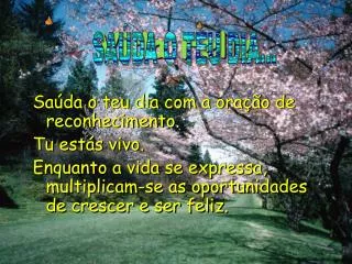 vida feliz