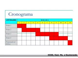 cronograma