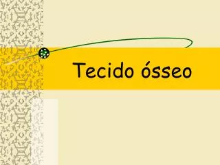 tecido sseo