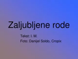zaljubljene rode