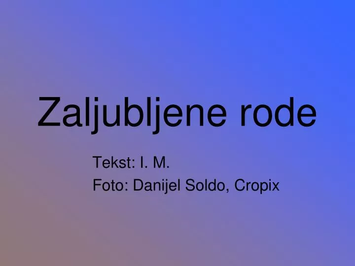 zaljubljene rode