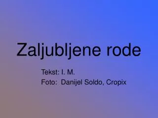 zaljubljene rode