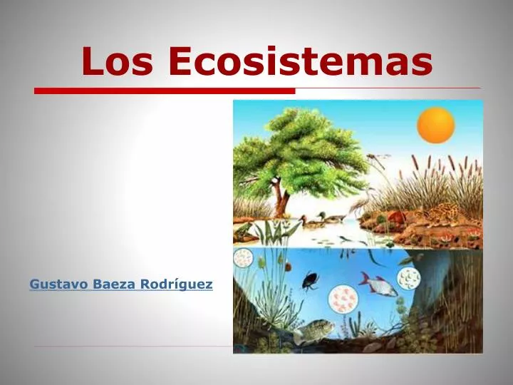 los ecosistemas