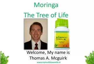 Welcome, My name is Thomas A. Mcguirk