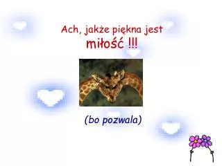 bo pozwala
