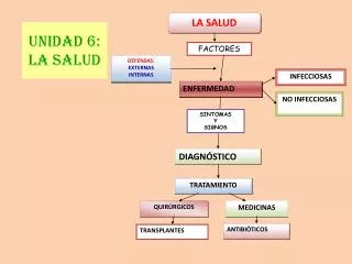 unidad 6 la salud