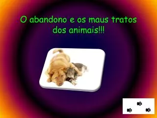 o abandono e os maus tratos dos animais