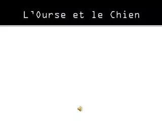 l ourse et le chien