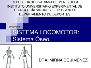 sistema locomotor sistema seo