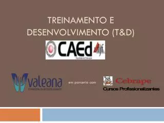 treinamento e desenvolvimento t d