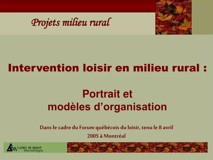 intervention loisir en milieu rural portrait et mod les d organisation