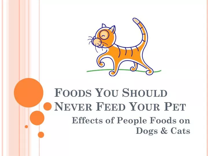 foods you should never feed your pet