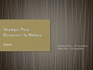 voyager pour d couvrir la nature