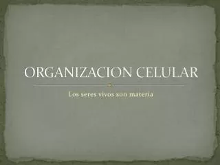 organizacion celular