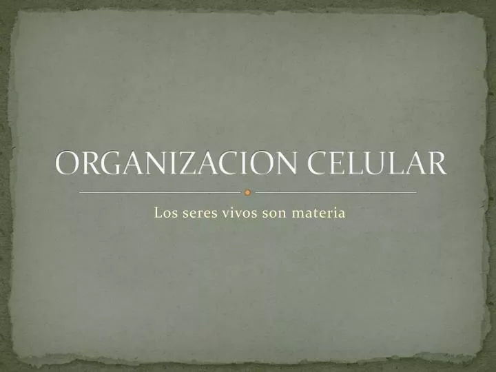organizacion celular