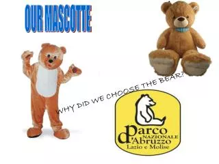 WHY DID WE CHOOSE THE BEAR?