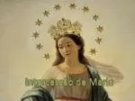 Intercessão de Maria - slide 1
