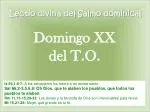Lectio divina del Salmo dominical - slide 1