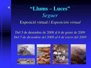 llums luces seguer