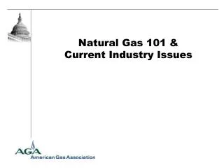 Natural Gas 101 &amp; Current Industry Issues